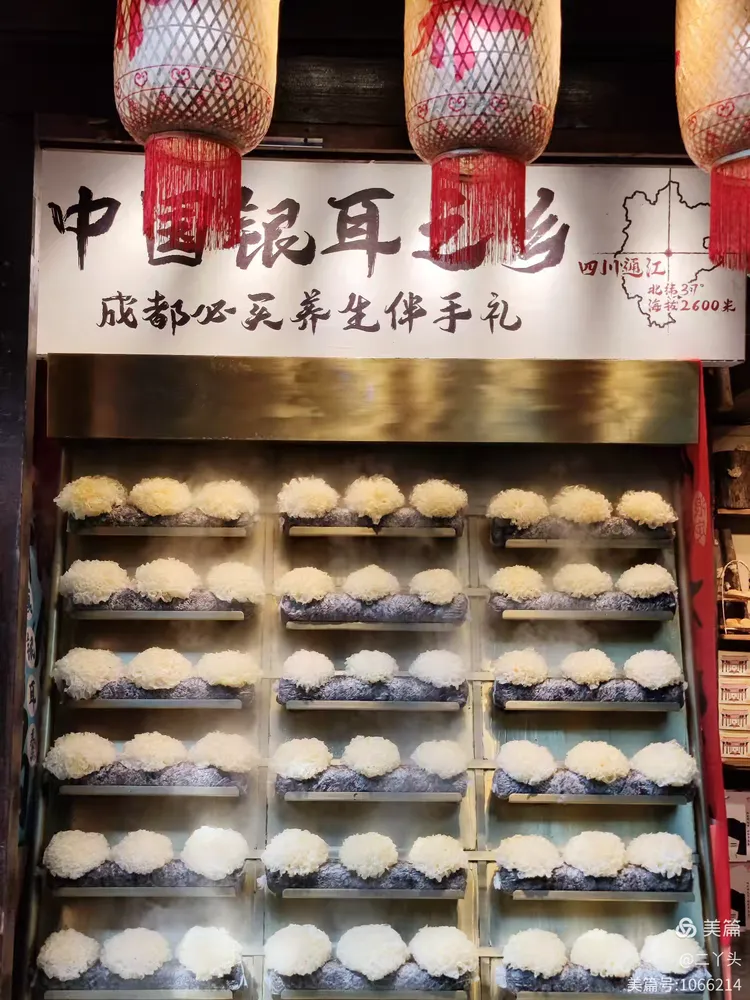 重庆桑拿推荐_重庆桑拿板_桑拿重庆推荐哪家店